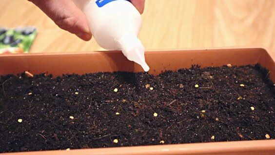 ��� ������� ��������� ���������: ������ ��� ����������