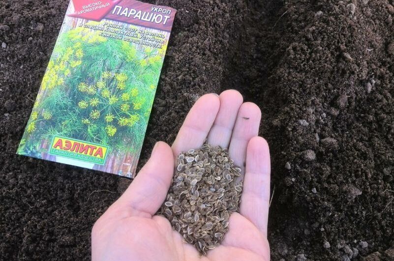 ��� ������ � ����: ������ ��� ��������� � �����������