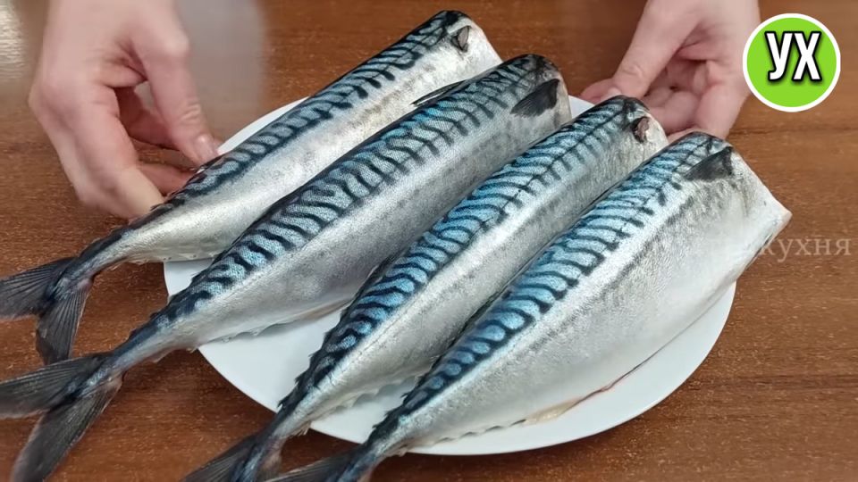 ������� ������������� ��������: ������� � ������� �������