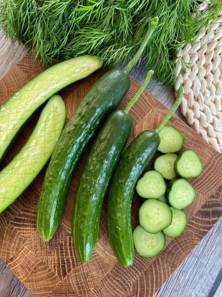 ������� �����������: ������ ��������� ������ ��� ������