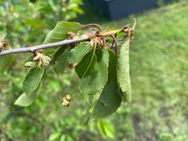 �� ���� �������� ��������: ������ ����� ����� � ������ ������ � ��������