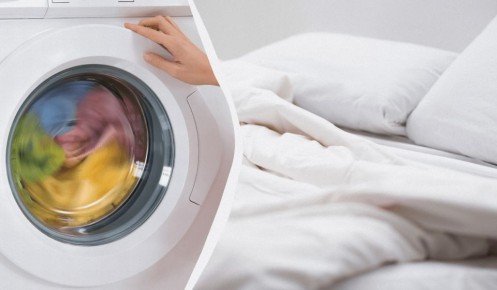 ��� ������ ������ � ���������� ������: 7 ���������� ��� ������ ��������� �� ������