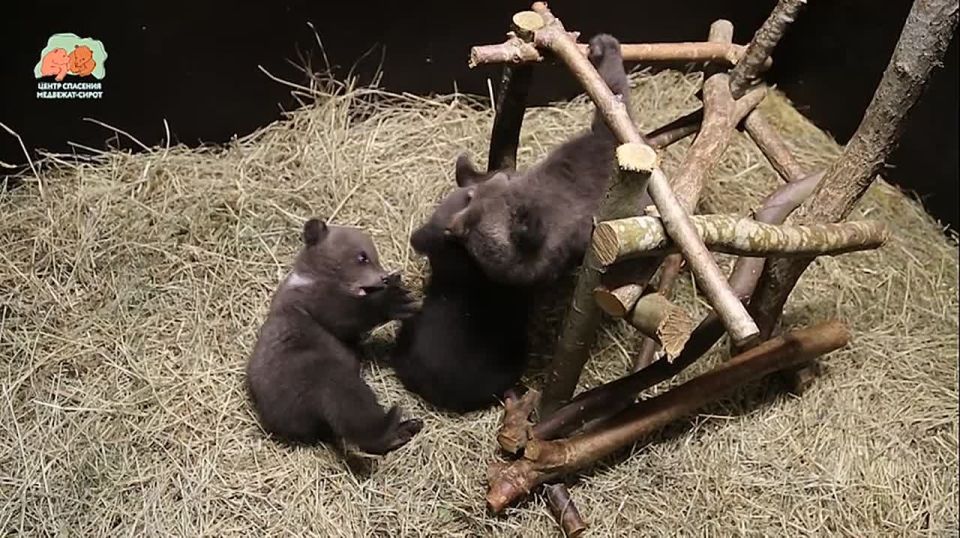 ��������� �� �������� ����������, �������� � ������ ��������