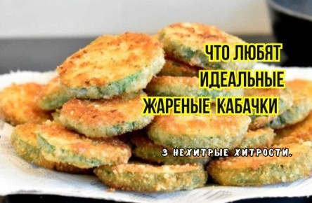 ��� �������� ��������� ����� ��������: ������ ���-�������