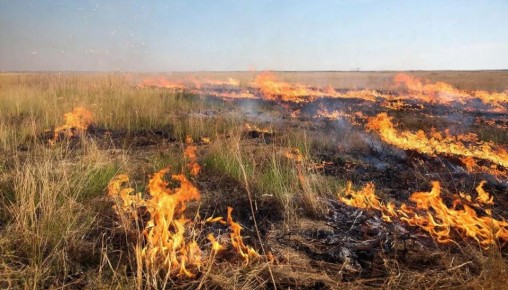 На улице Ильфата Закирова в Ижевске горела сухая трава