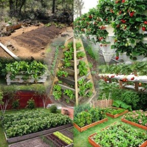 ��� ������� ��������� ����� ��� ������� ��������: ��� ������� � ������