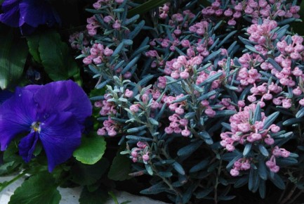 ��������� ������������: ������������ ��������� ��� ������ ����