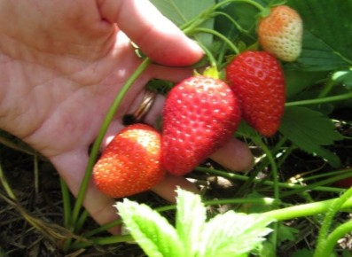 �������� ������: ��� ���������� �� �������� � ������