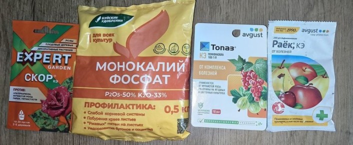 ���������� �����: �������� �������� ��� ������ ���?