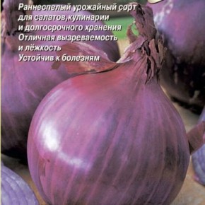 ��� �������: ��������� ����� ��� ������ ������� � ����������� ���������