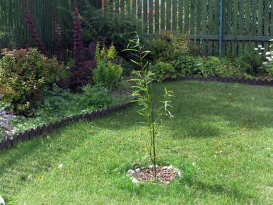 ��� �������: ������� ���� ������ � ������� � ���������