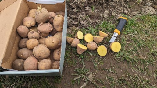 ��� ��������� ������ ��������� �� ��������� �������: ������� ���������