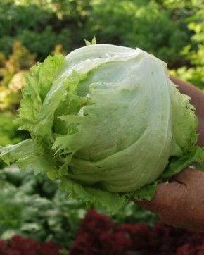 ������� ����������� �������� ��������� ������