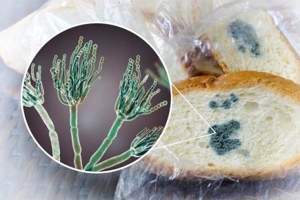 ��������� ������� � ���������: ��� ����� �����