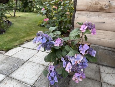 ������� ����� ���������: ����� ����� ������� � ��� �������� ���������� �������