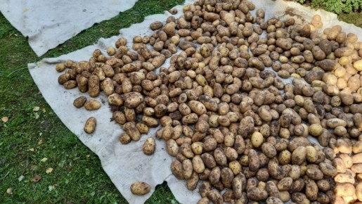 ��� ����������� ������, ��-�� ������� ������������ ������ �������� ������ �������