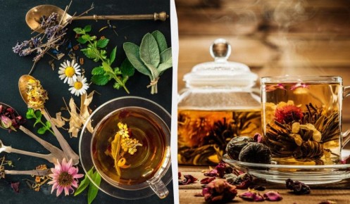 �������� ���: ��� ���������� ������������ ������ ���� ����