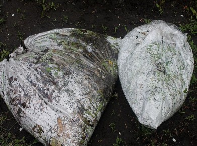 ��������� ������ �� ����: ��� ������� ��������� ��������� ����� �� ��������� ����