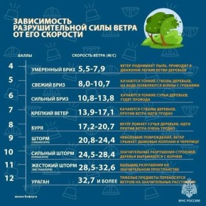 � �������� ���� ������������, 27 ������, ������� ��������� �������� ����� � �������� �� 15�20 �/�, �������� �����-������ ��� ����������