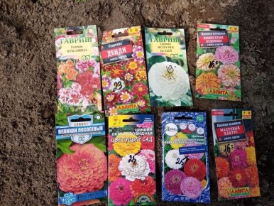 ����������� ��������� �������: ��� �������� ������ � �������