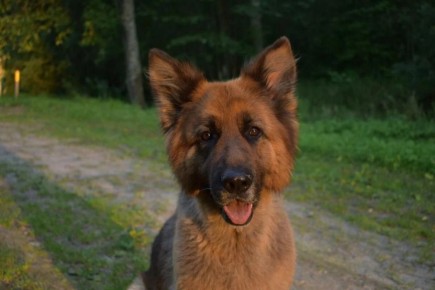 ���� �����: ��� ��� ����������?