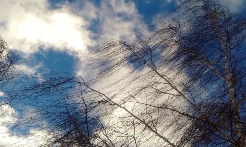 ��������! �������� �����!. �� ������ ����������� ��������������, � ��������� ���� � �� ����� ����� 27 ������ ������� �� ���������� ��������� �������� ������ ����� �������� 19-24 �/�