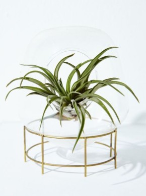 ���-5 �������� ��� ��������� �������� ������� � ����� ����