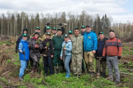 15 мая в Якшур-Бодьинском лесничестве пройдет акция «Сад памяти»
