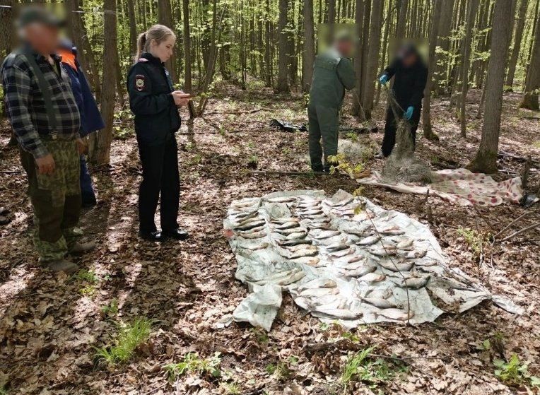 В природном парке «Усть-Бельск» задержали двух браконьеров