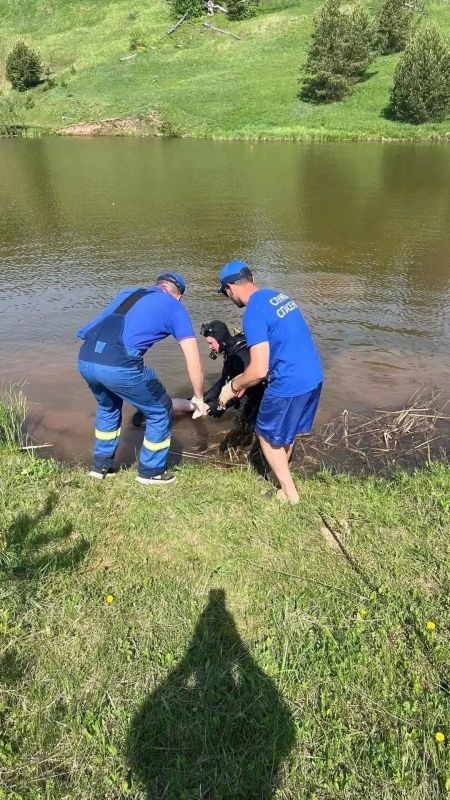 На пруду в Завьяловском районе утонул 17-летний подросток На пруду в Завьяловском районе утонул 17-летний подросток