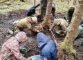 Поисковики Удмуртии обнаружили в Ленинградской области останки девяти красноармейцев