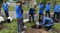 Юные футболисты «Зенит-Ижевск» приняли участие в международной акции «Сад памяти»