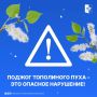 Тополиный пух устилает улицы города - красиво, но опасно
