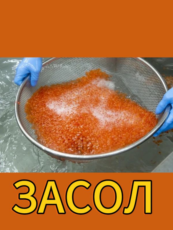 Засолка икры: секреты и правила хранения
