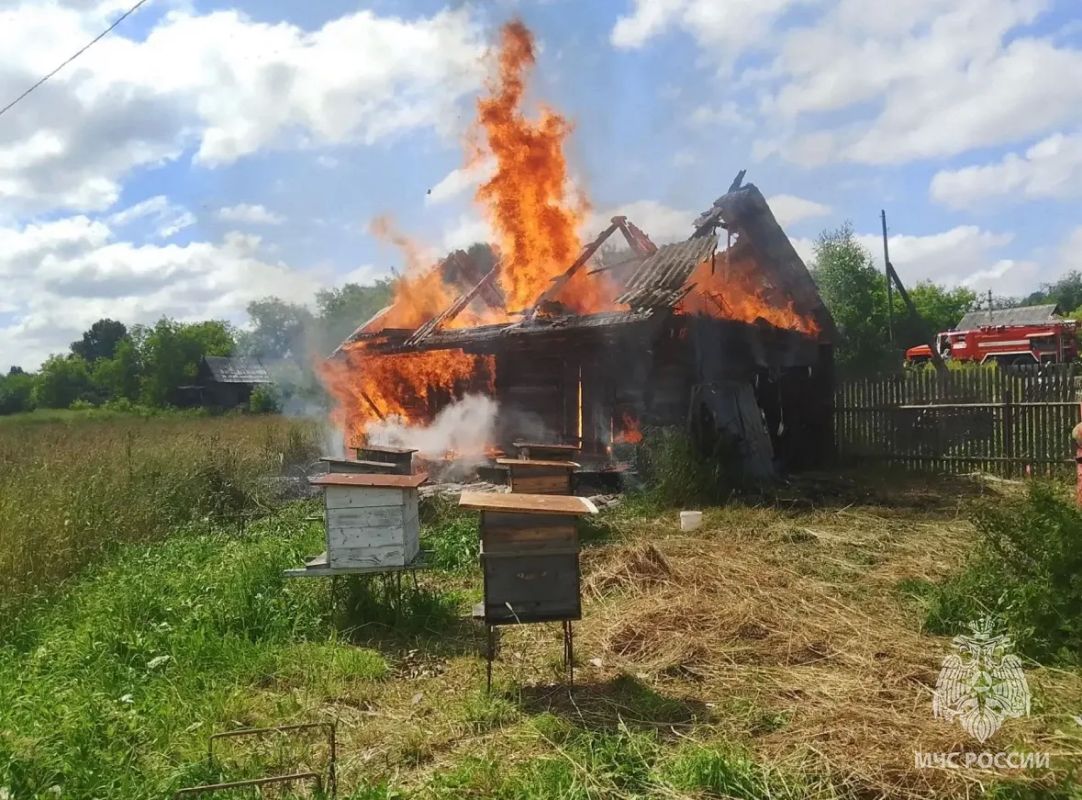 Второй случай возгорания омшаника за неделю в Удмуртии Второй случай возгорания омшаника за неделю в Удмуртии