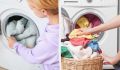 как устранить затхлый запах белья: 5 распространенных причин и простые решения