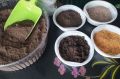 Минеральные удобрения для рассады перца: что важно знать