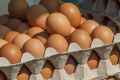 Как понять, что яйца еще безопасны для употребления