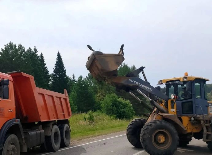 Погибшего лося нашли на трассе в Сарапульском районе