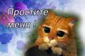 Почему шашлыки на Масленицу — это не миф