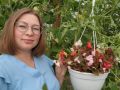 Как удержать январь на ярких красках: посадка цветов для раннего цветения
