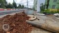 Власти Ижевска прокомментировали «Сусанину» обнаружение человеческих костей на улице Удмуртской