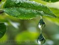 Энергия природы: как нашептать воду для здоровья и благополучия
