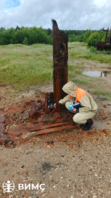 Продолжаем наши «вести с полей» Продолжаем наши «вести с полей»