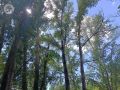 � ����������� � �������� ������� ���������� ���������� �� +31�+36 �������� �� �������.