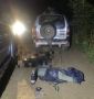 В Удмуртии полицейские задержали подозреваемого в незаконной охоте