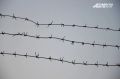 Жителю Удмуртии, предлагавшему наркотики подростку, дали 5,5 лет колонии