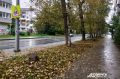 В Удмуртии на неделе ожидается тепло до +20°С и дожди