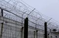 Ижевчанин проведёт 3,5 года в колонии за хранение найденных наркотиков