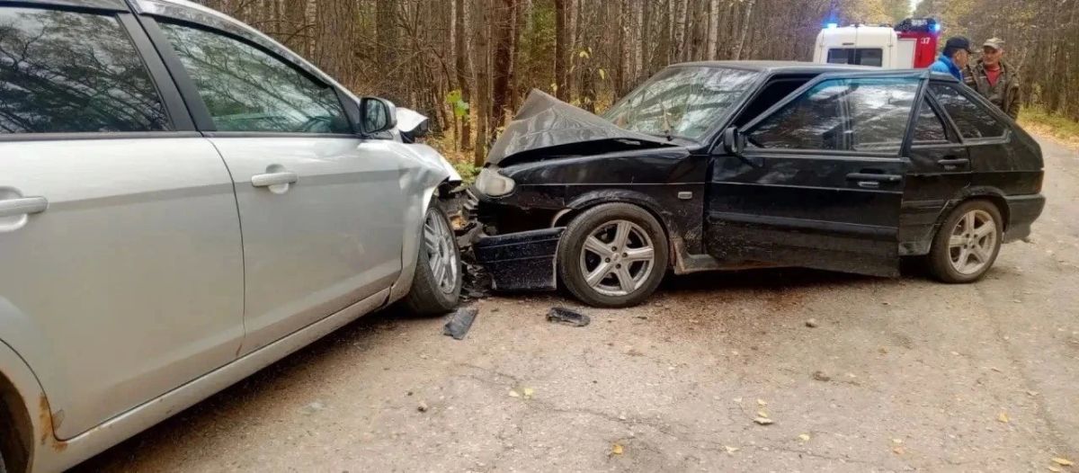 Женщина выпила около литра водки, села за руль и устроила ДТП в Удмуртии Женщина выпила около литра водки, села за руль и устроила ДТП в Удмуртии
